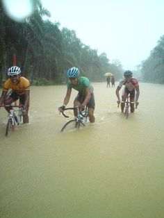 0daf1fc04e6cdd0b5c8e9db34f43bfd1--mountainbiking-bicycling.jpg