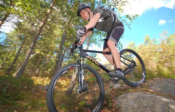 Rose-Mr-Ride-29er-2011.jpg