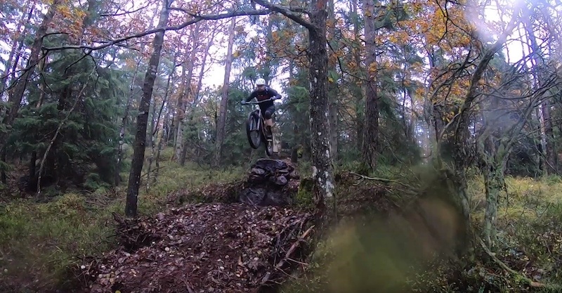 www.trailforks.com