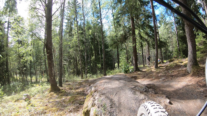 www.trailforks.com