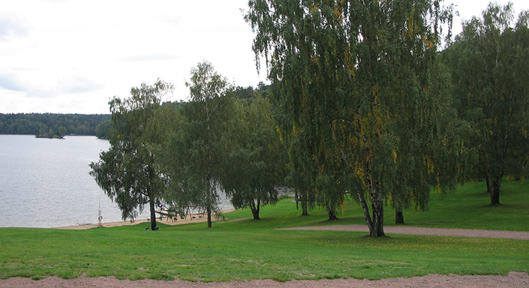 www.lansstyrelsen.se