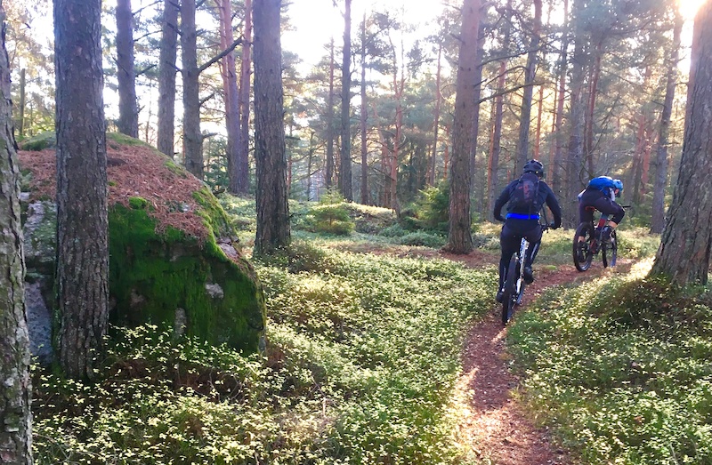 www.trailforks.com
