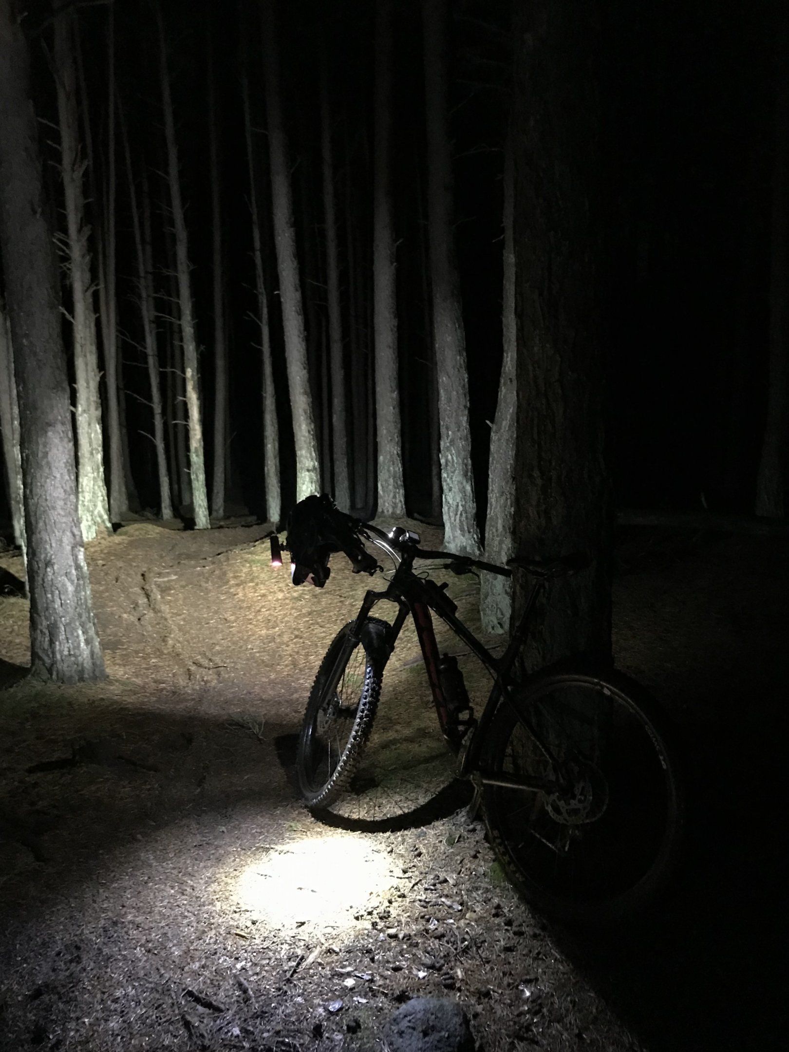 ac1cf891-5f42-4a18-b0c4-d8ddd3e4c410-jpeg.1302023