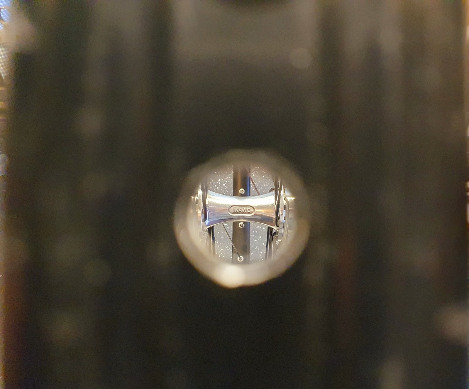 51375183065_c9081901e8_h.jpg