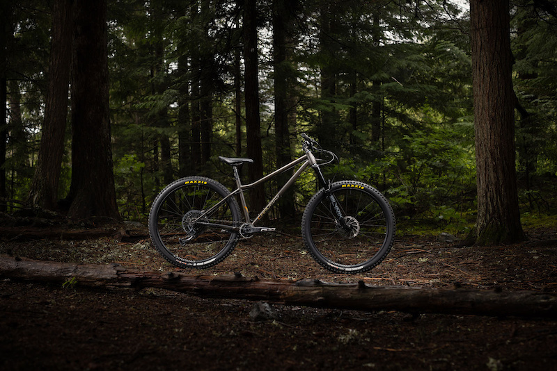 www.pinkbike.com