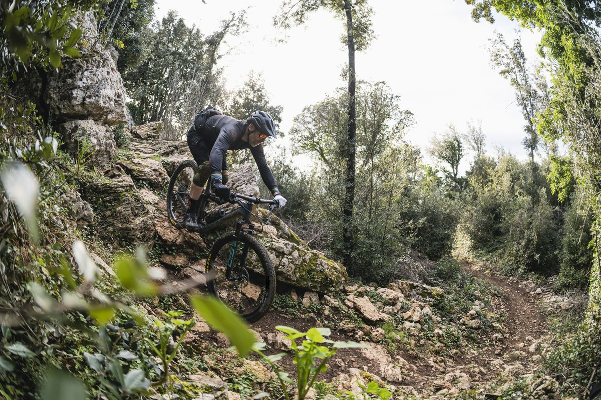 uksport.news