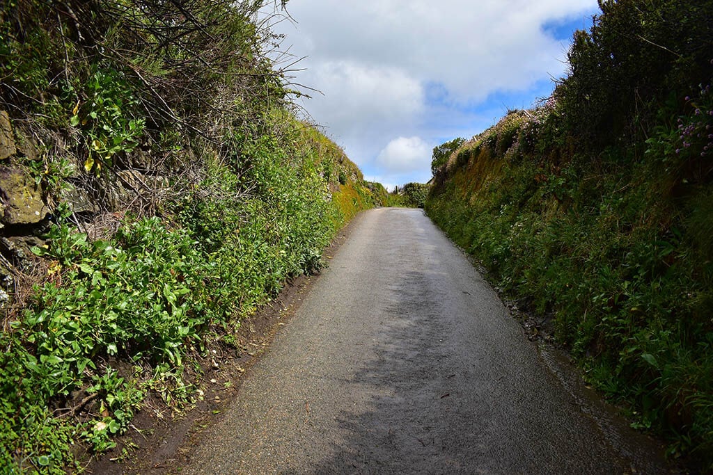 Narrow-lanes-Cornwall.jpg