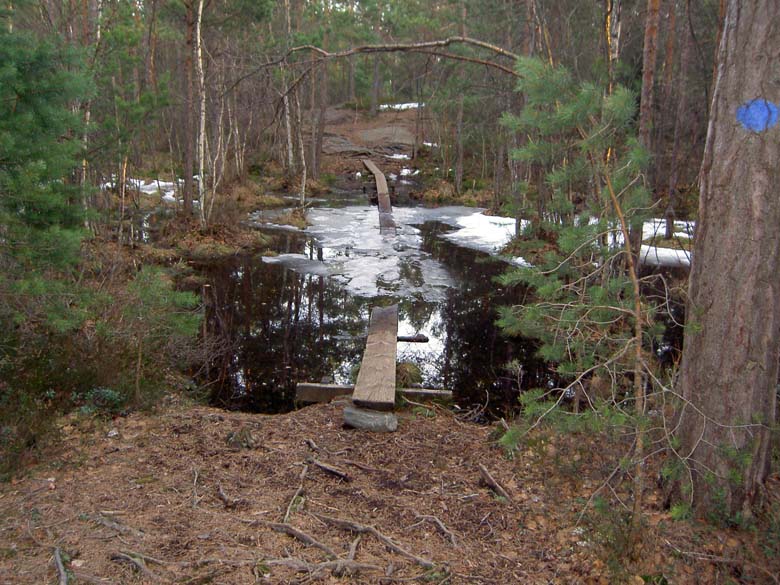 050405D.JPG