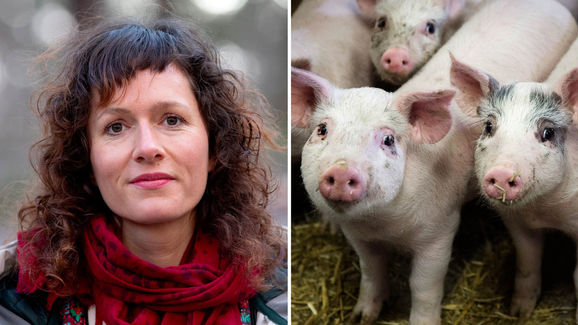 www.expressen.se