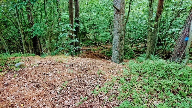 www.trailforks.com