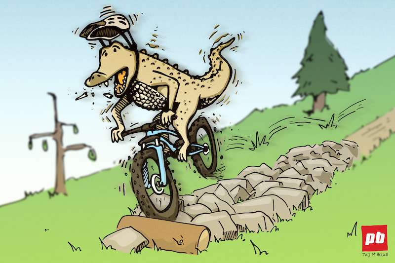 m.pinkbike.com
