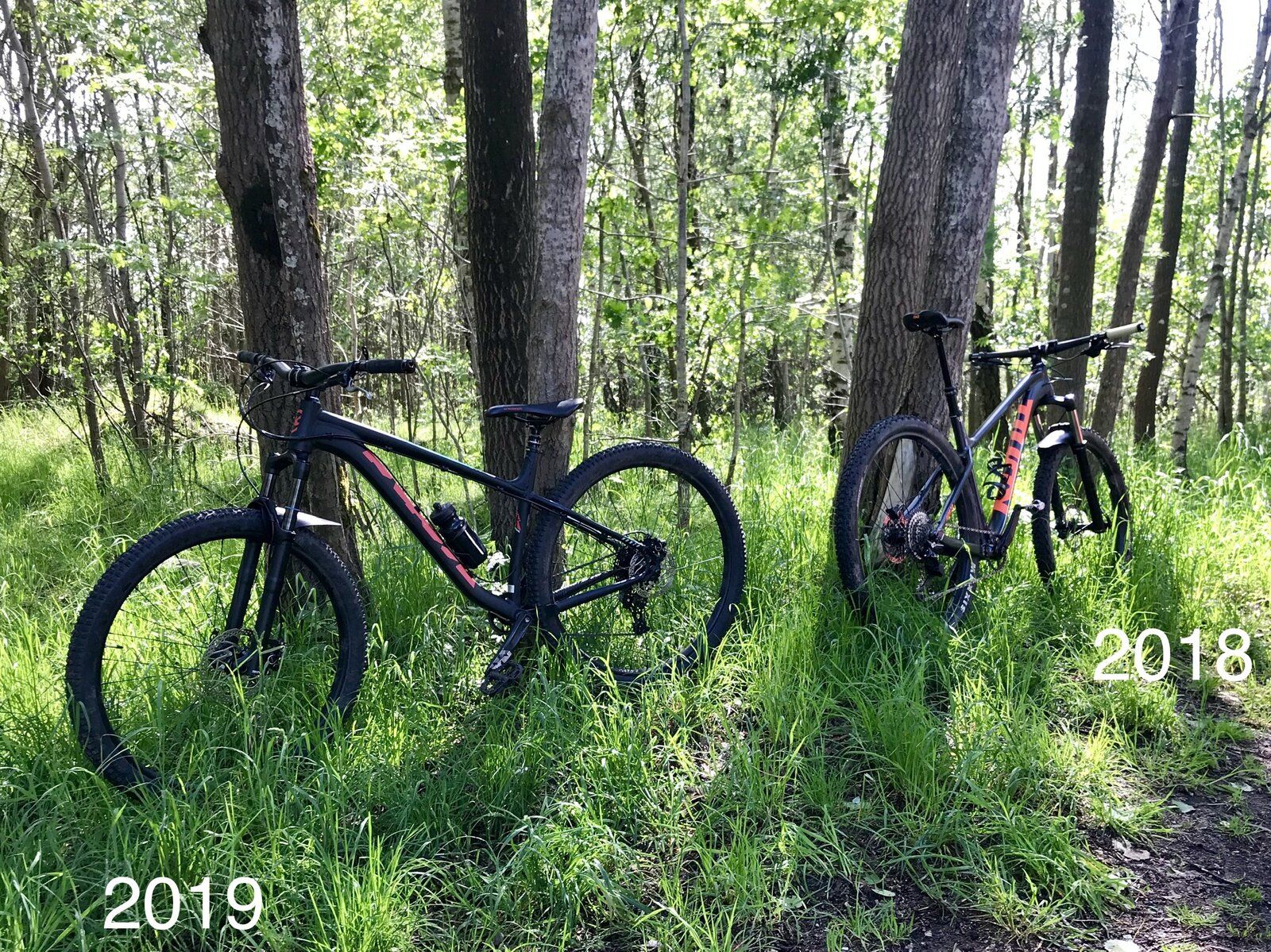 12aa19e1-708d-4f85-aa38-f4b9ef1e8721-jpeg.1137096