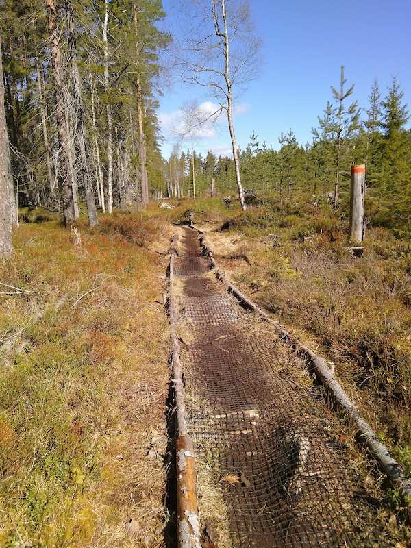www.trailforks.com