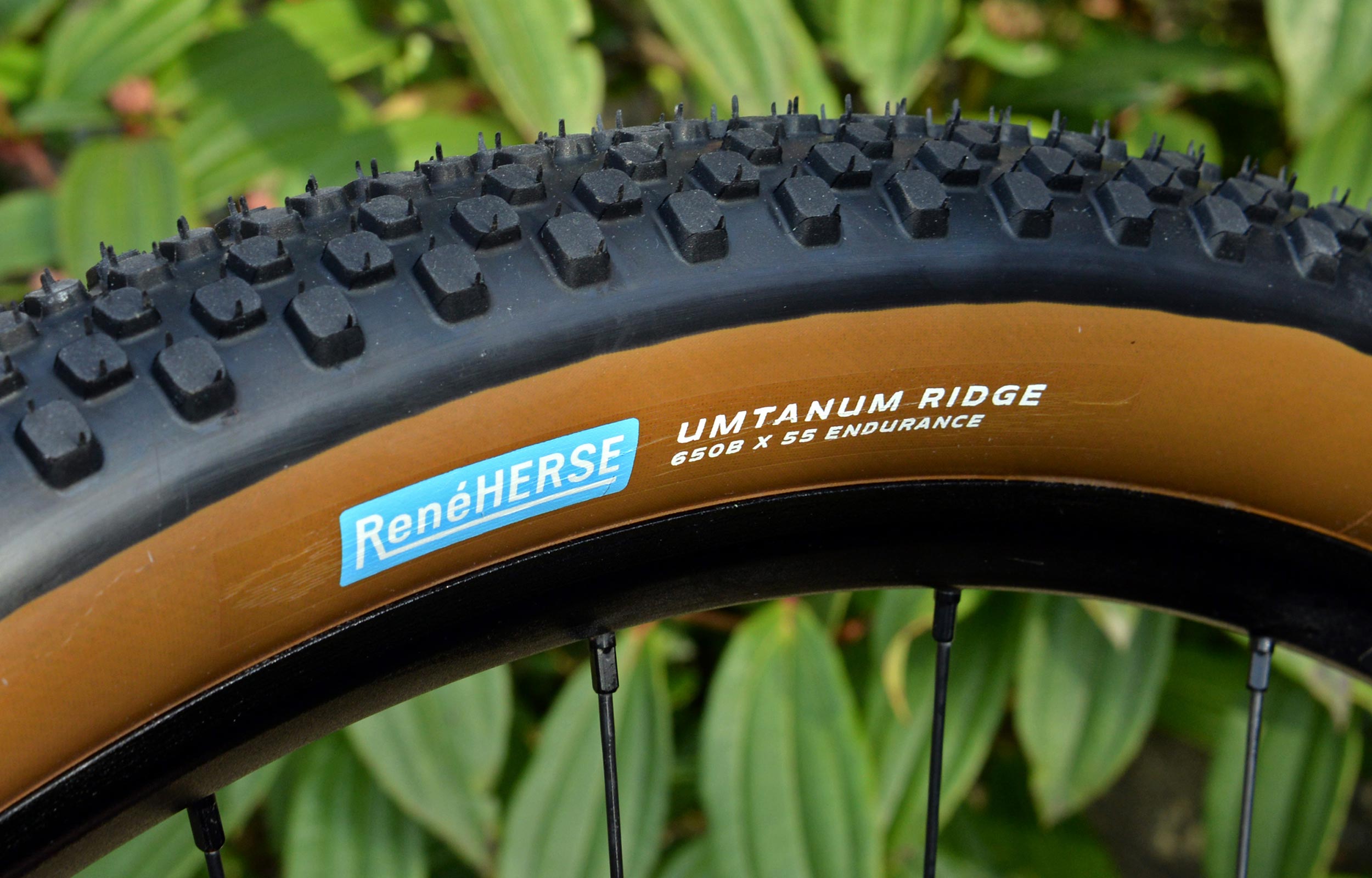 Rene-Herse-Umtanum-Ridge-Tires_1.jpg