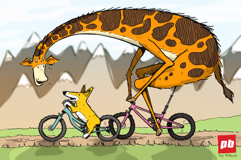 m.pinkbike.com