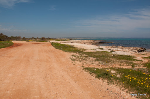 _DSC8086.jpg