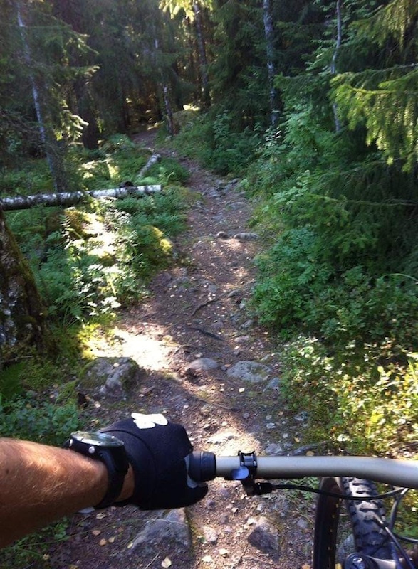 www.trailforks.com