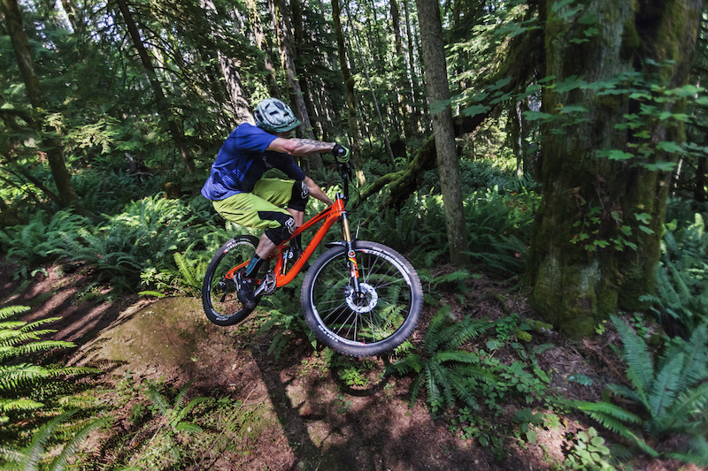 www.pinkbike.com