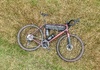 Trek Checkpoint ALR 5 Driftless, 61