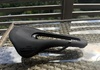 Selle San Marco