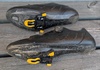 Shimano RP9 Landsvägsskor (Kolfiber, BOA) inkl. nya SPD-SL klossar – Storlek 43