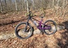 Trek Fuel ex 8