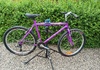 Miyata Pathrunner 