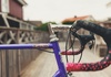 Eddy Merckx Corsa Extra - Renoverad 59cm Racercykel / Landsväg säljes