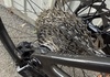 Scott Addict 40 2026 helt ny! Racercykel / Landsväg säljes