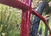 MTB BH Expert Mountainbike säljes