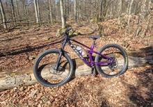 Trek Fuel ex 8