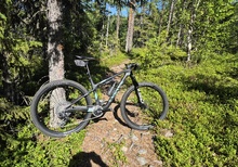 Canyon Lux World Cup CFR LTD