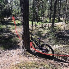 Genom sänkan och upp över bergshällen, sen vän.
