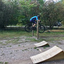 Höjdhoppsställning för kaninhopp och lite bland.
