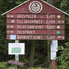 Foto: Fredrik Schenholm.