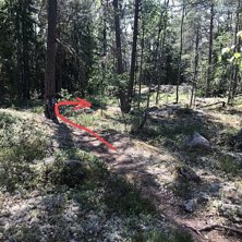 Efter 30-40m "snäll"stig är de.