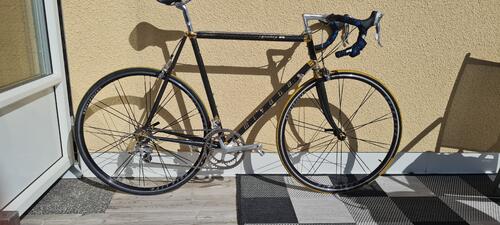 Miyata Century