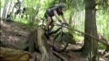 Branten vid vindskyddet på Kinnekulle 2006