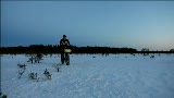 Skarföre