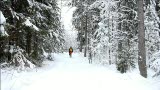 Januaritur