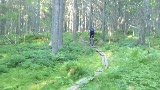 Svängspången Hässningeberget