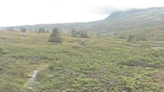 Utflukt 2008 på Skeikampen, Norge