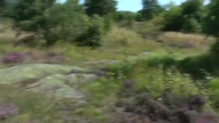 Peter rockar i Änggården - mtb I