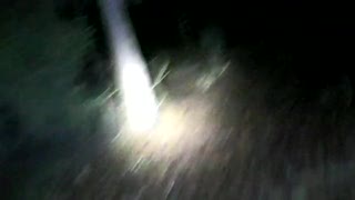 Trailriding at night