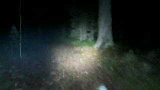 Trailriding at night pt.2