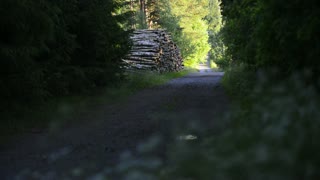 MTB Trail