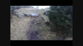 FreedomCX