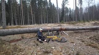 Janne