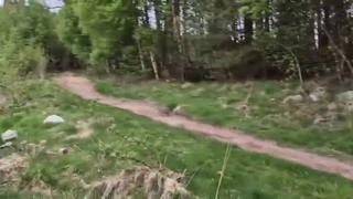Vallåsen chrash