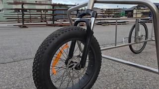 Cykelvagn med dämpning 